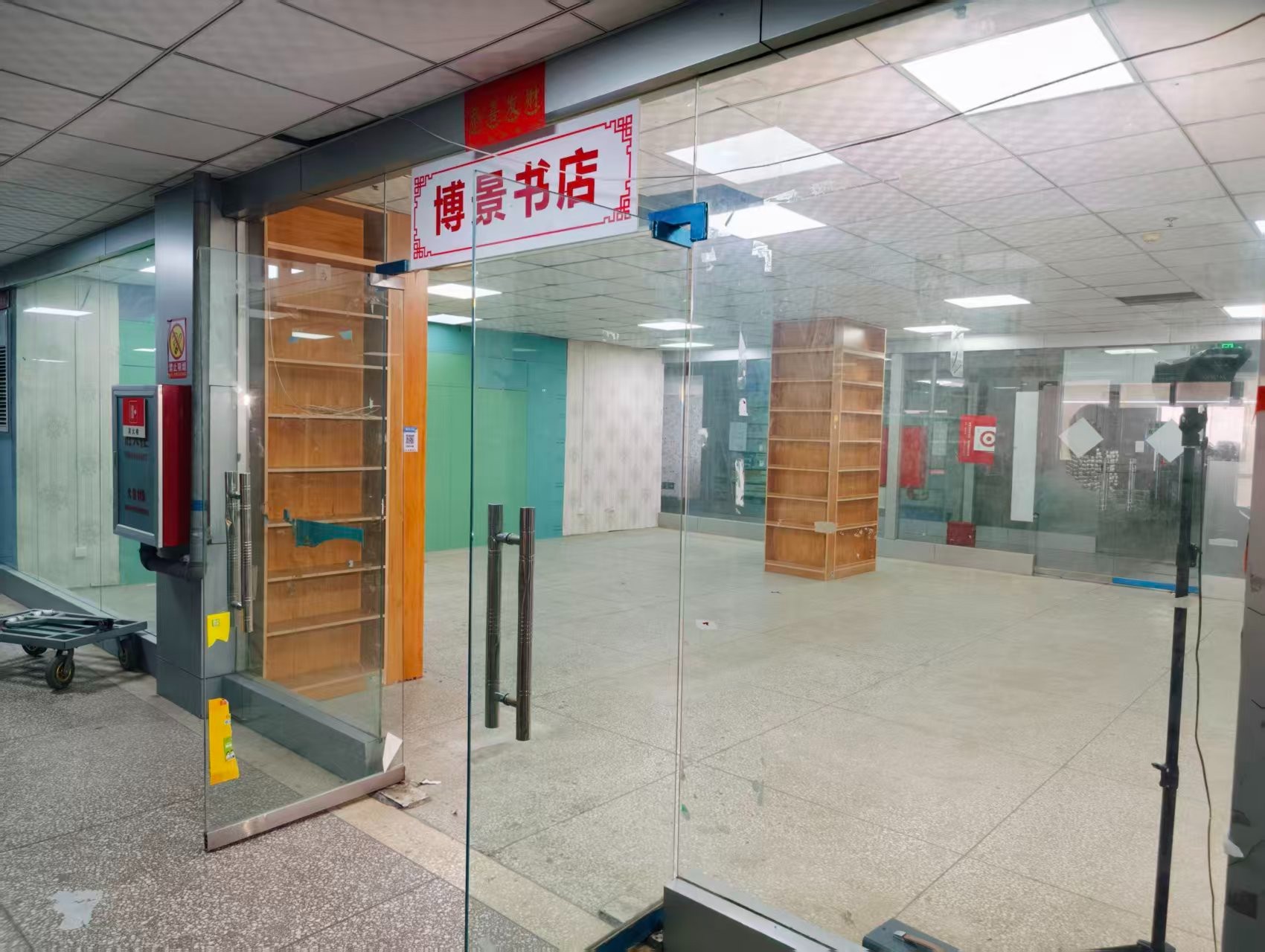 纸大线AI浪潮已至，优质企业抢先布局